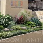 Plantation works of 155 Villa